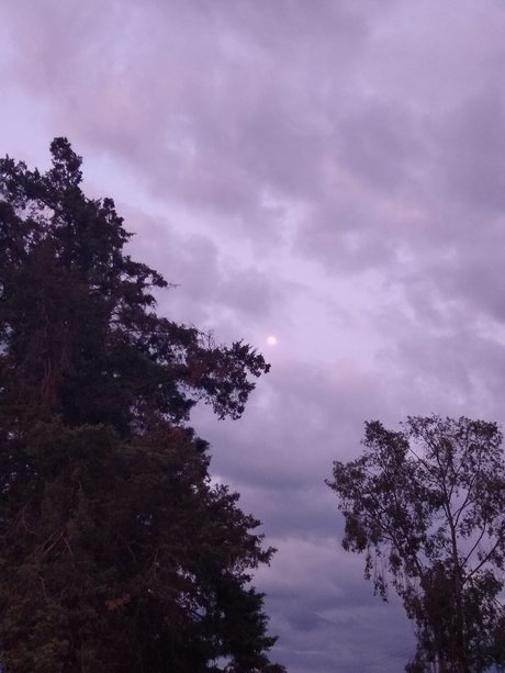 El curioso sex model img