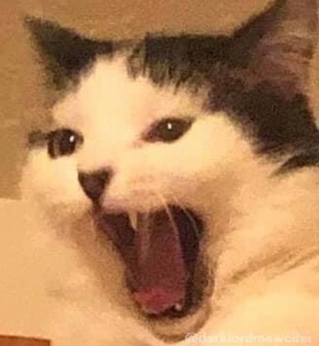 Mr Peach pornstar perfect img