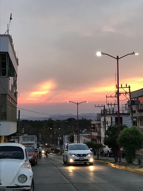 Just Charlie star xxx image