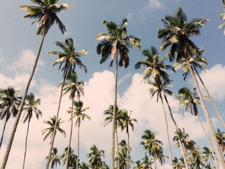 Luca B nudes model pictures