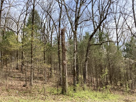 Top of the Ozarks model nude pics