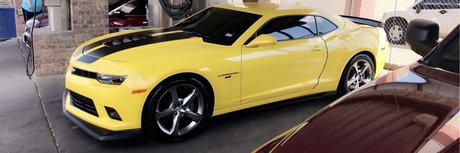 Eliesher97 pornstar galleries