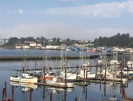 small onlyfans free nude picture