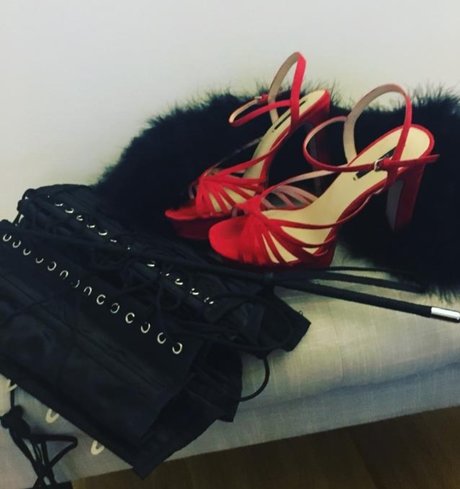 Swedishdeluxe model pornographic picture