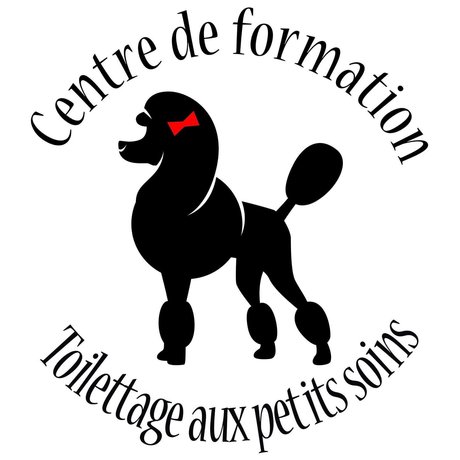 Toilettage aux Petits Soins hd star archive