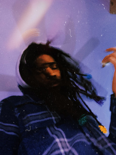 Mosquito Giant pornstar art images