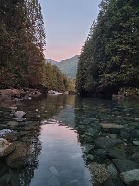 Purplefirefly pornstar exclusive galleries