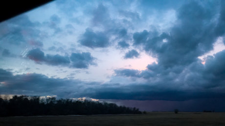 Lynn Austin adult star gallery