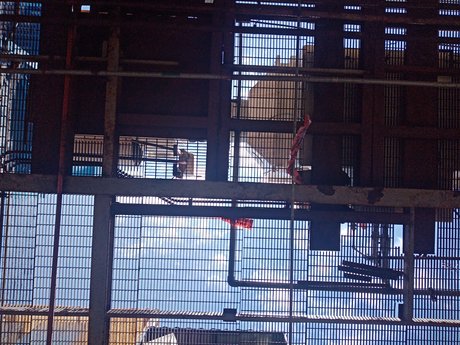 Juli n pornstar beautiful images