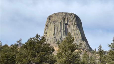 Tony amp ampTommy star top photos