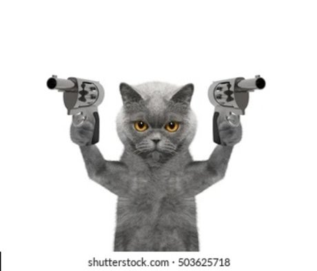 imgonnaeatyourheart nudes star gallery