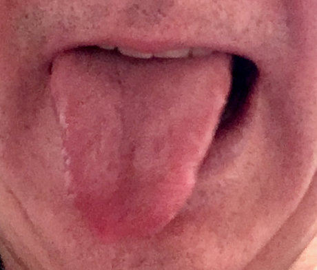 DutchBoy2540 star pornographic img