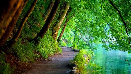 Xaea Zen high quality model img