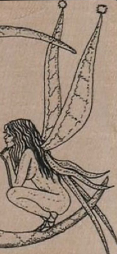 Erin Beckel hot model picture