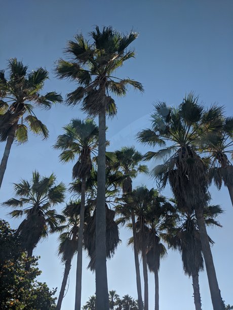 Laetitia_ pretty pornstar gallery