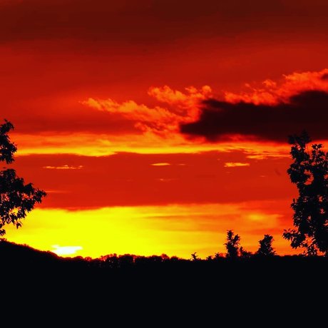 Dennis Leipzig model perfect galleries