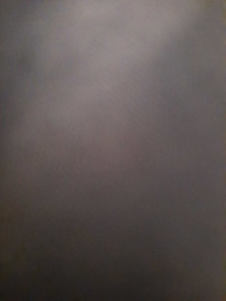 Brook Gibson star photos