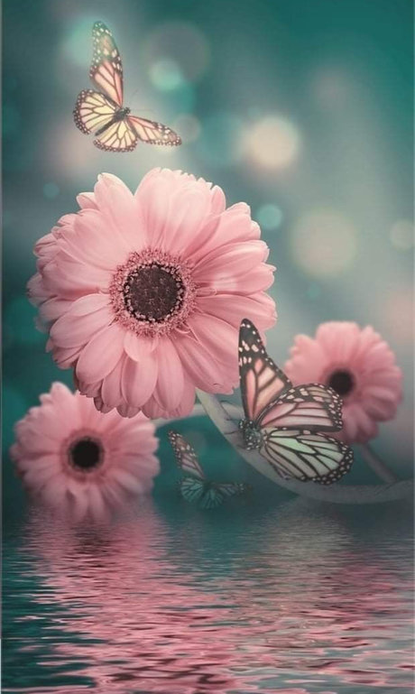 Eryka Ka h_ pornstar sexy picture