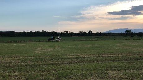 Twink20 01 erotic actress img