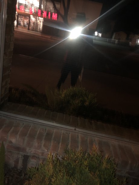 Charlie king pornographic star image