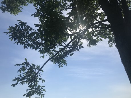 kevy pornstar top photos