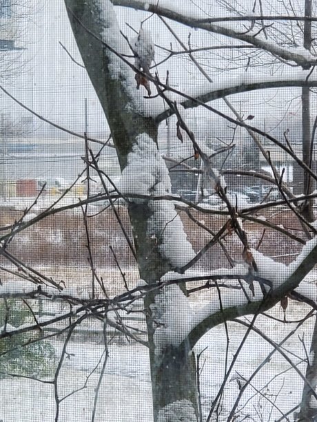 Norway best actress archive