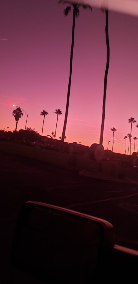 Bill Dill model xxx images