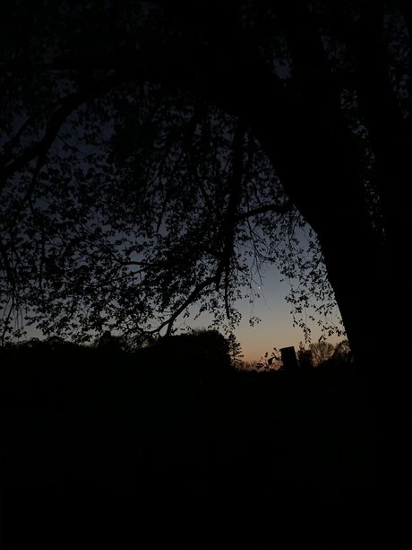 Clementine model free archive