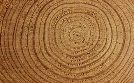 Beefstrokem off pornstar image