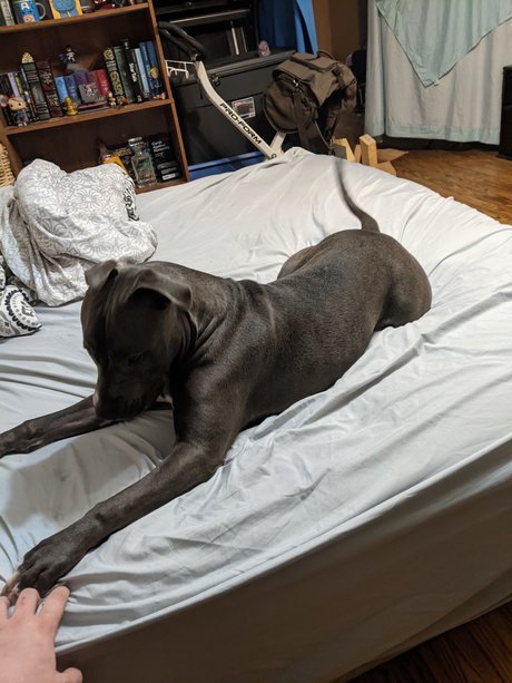 Philly pretty model pictures