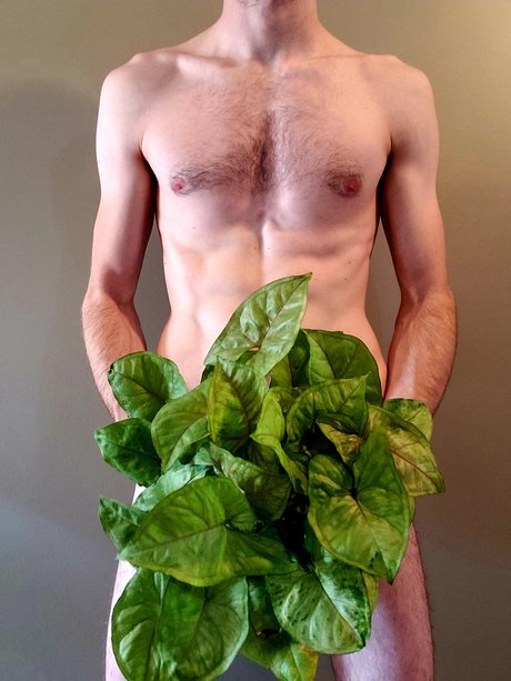 _OG Big Tree_ hd model images