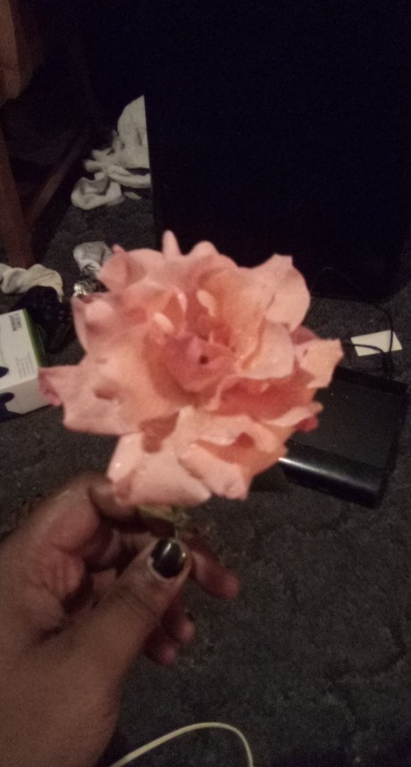 Darius Blue sexy pornstar photos