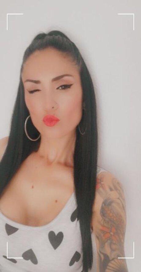 TRIANA model gallery