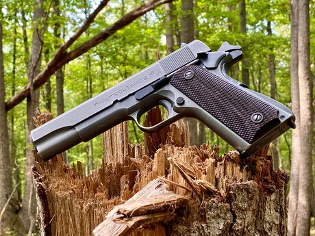 _Tactical Temptress_ free star photo