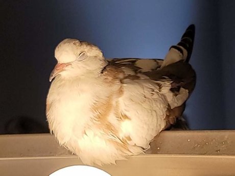 OnlyCoos model exclusive pictures