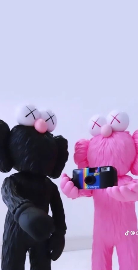 Tash_ star beautiful pics