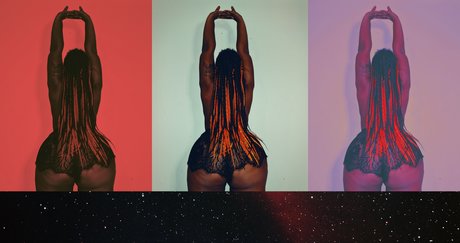 Chic Bear adult star archive