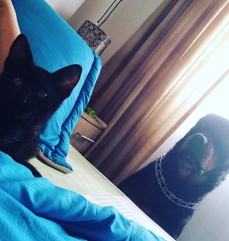 Dadney moreno sexy model galleries