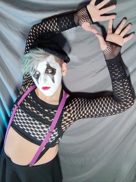 OrbWeaver star adult picture