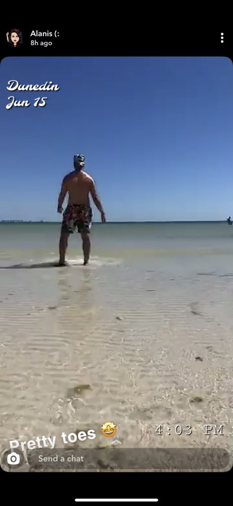 Tazmanian Devil model top pictures