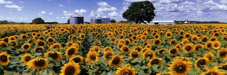 makenzie_ naked pornstar pics