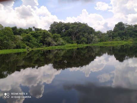 Alvaro Suarez star erotic img