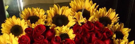 Goldenhoney star hot pics