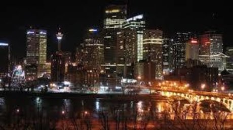 The t Rex Dino model image