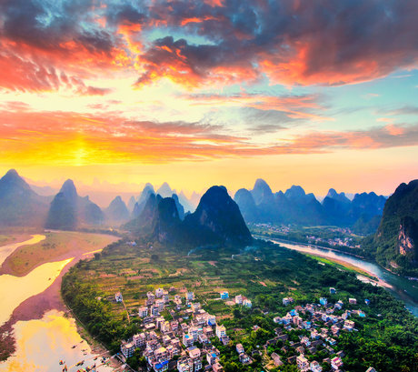 shy top actress image