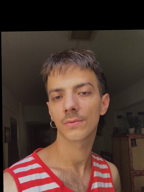 faq porn star gallery