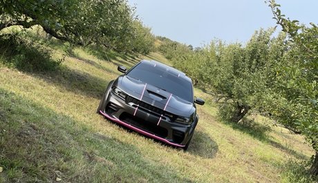 Jon VIP_ porn actress img