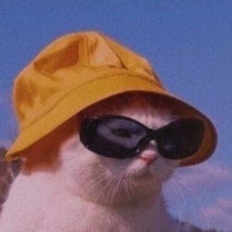 tittyqueen63 sex model img