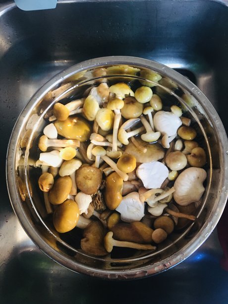 Too Many Potatos exclusive pornstar pics