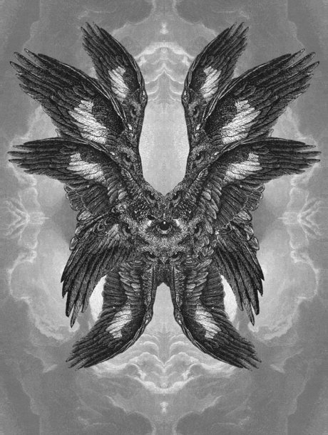 2shytodie top star photo